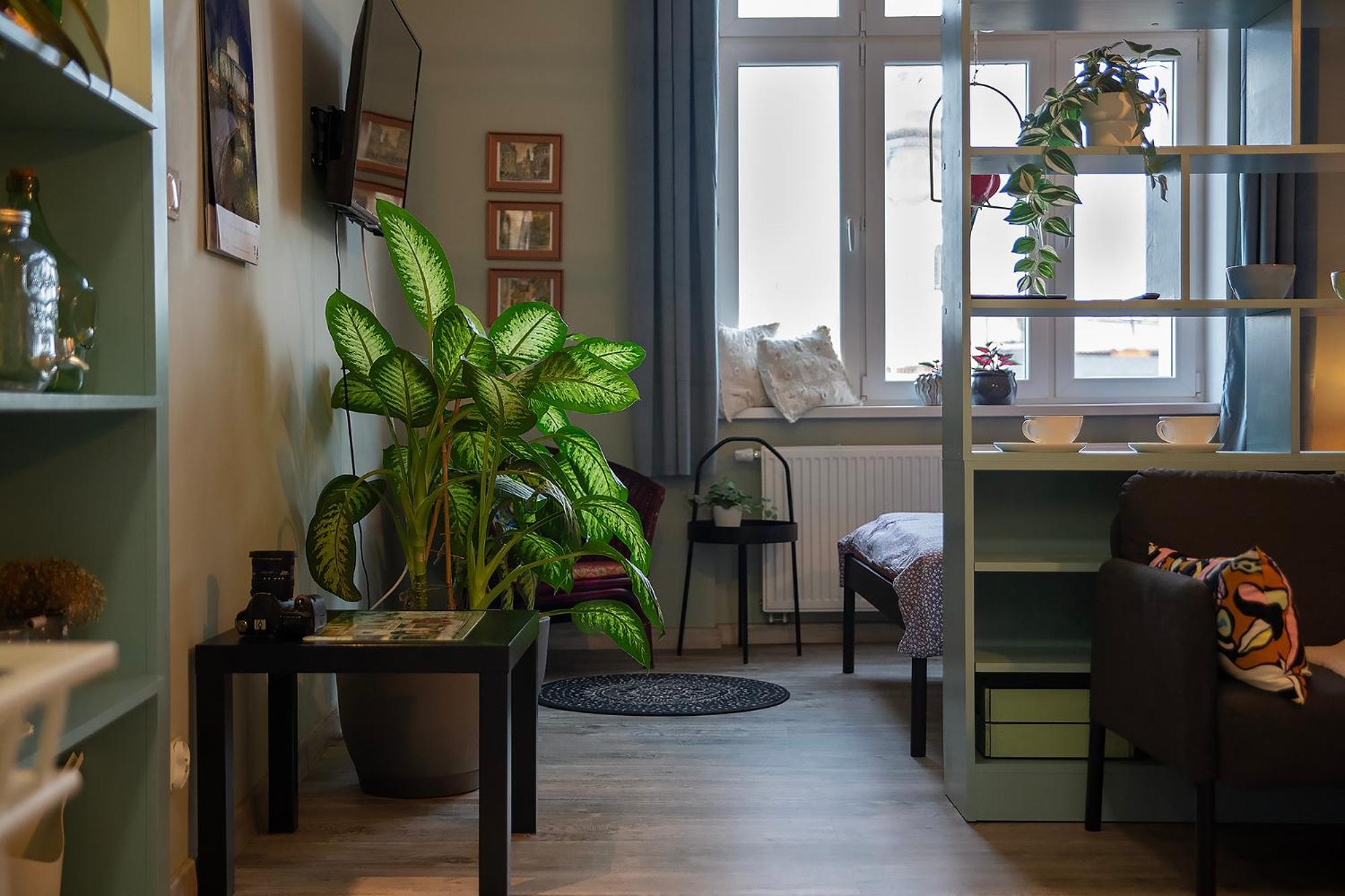 Apartament U Olechny 5 Bydgoszcz Bagian luar foto